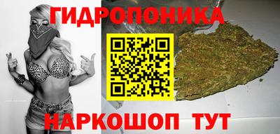 индика Балаково