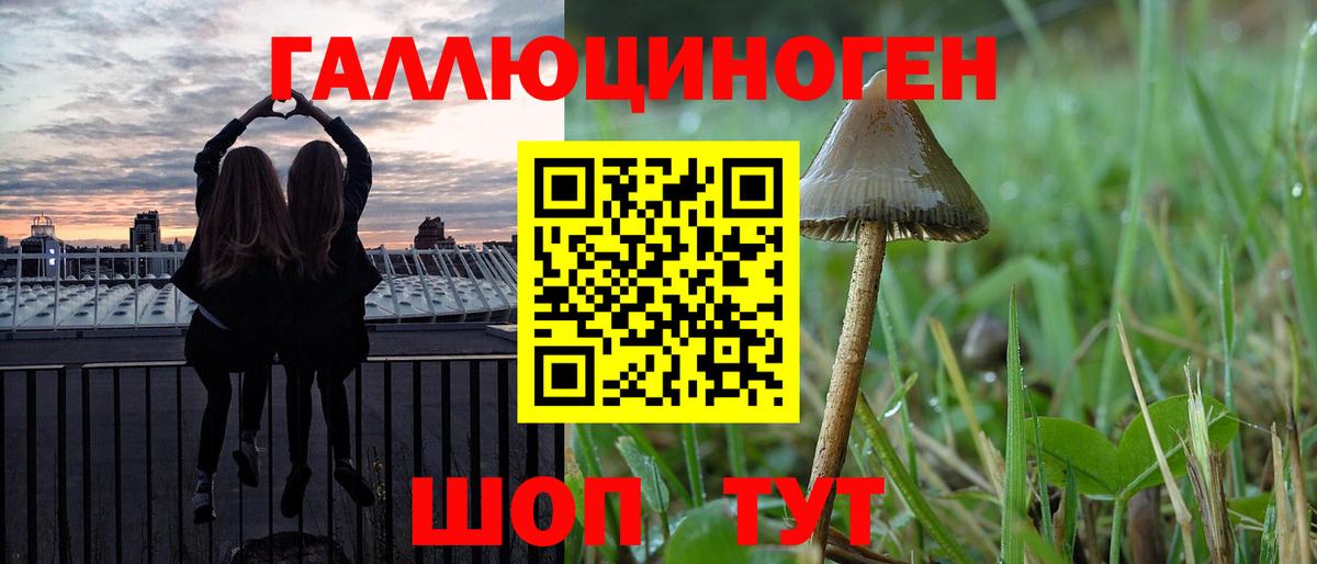 Псилоцибиновые грибы прущие грибы Будённовск