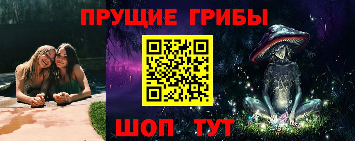 Галлюциногенные грибы Cubensis  Будённовск  Псилоцибиновые грибы MAGIC MUSHROOMS 